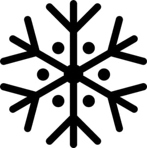 Snowflake 8