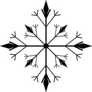 Snowflake 9