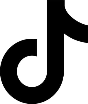 Tiktok Flat Logo