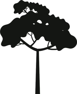 Tree Silhouette 12