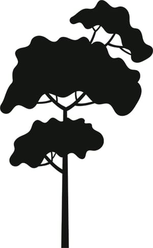 Tree Silhouette 14