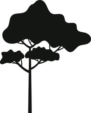 Tree Silhouette 16