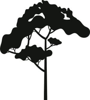 Tree Silhouette 4