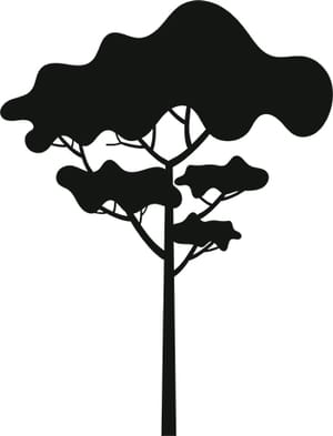 Tree Silhouette 6