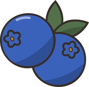 Sticker Blueberry