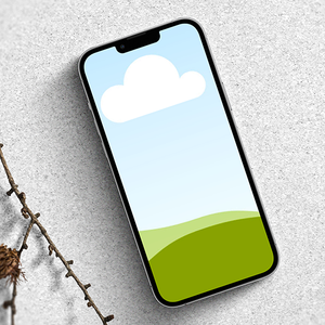 Canva Realistic iPhone Mockup