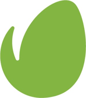 Envato Isotype Logo