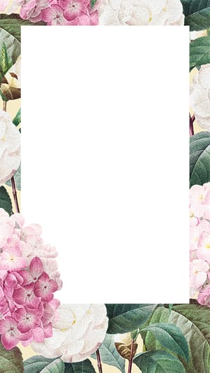 Image Floral Pink Background Instagram Story