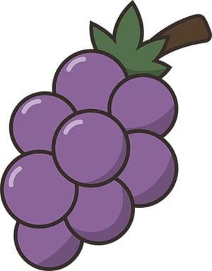 Sticker Grape