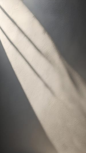 Image Shadow On Wall Surface Background (11)