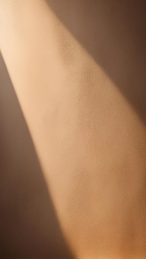 Image Shadow On Wall Surface Background (13)