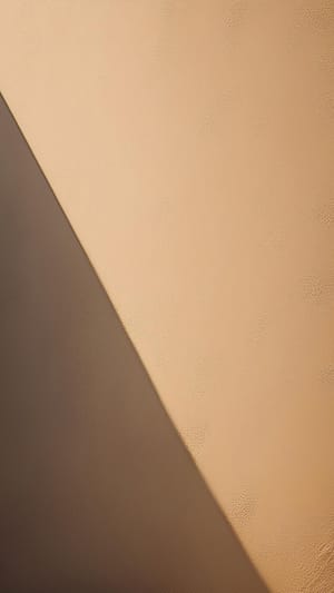 Image Shadow On Wall Surface Background (17)