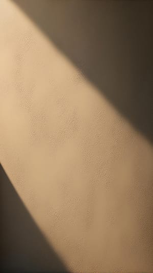 Image Shadow On Wall Surface Background (2)