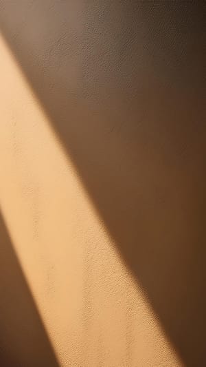 Image Shadow On Wall Surface Background (25)