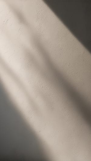 Image Shadow On Wall Surface Background (39)