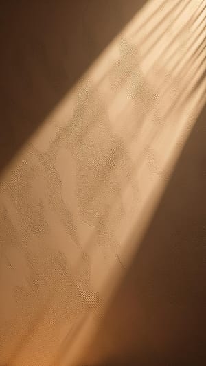 Image Shadow On Wall Surface Background (4)