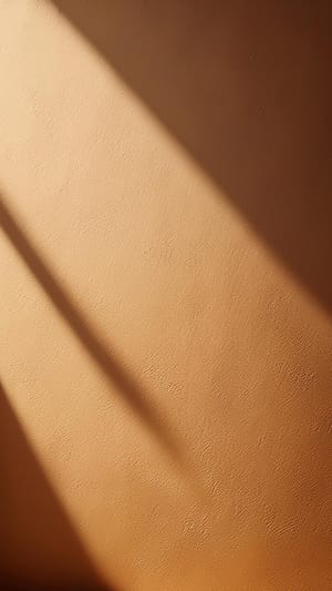 Image Shadow On Wall Surface Background (49)