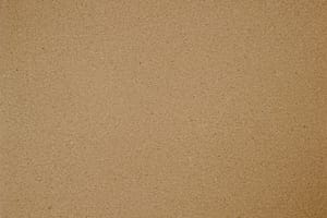 Image Brown Paper Texture