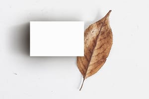 Image Business Card With Dry Leaf Mockup