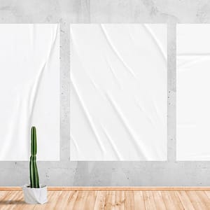 Image Poster Mockup on Gray Concrete Wall Surface With Cactus