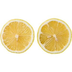 Sticker 2 Slice Lemon Fruit 1