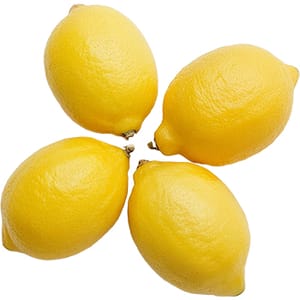 Sticker 4 Piece Lemon Fruit 5