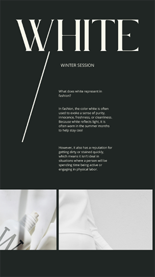 Canva White Winter Session Fashion Story