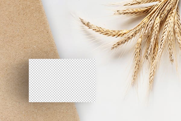 PNG Business Card On Brown Texture Paper With Pampas Mockup