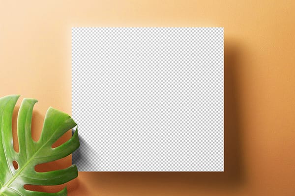 PNG Natural Square Post Mockup