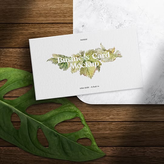 Photoshop Plant Vibes Business Card Mockup