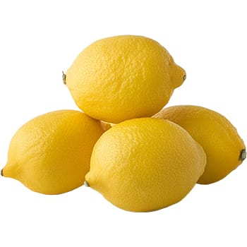 Sticker 5 Piece Lemon Fruit