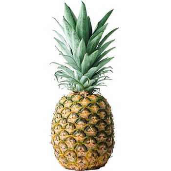 Sticker Pineapple Fruit 1