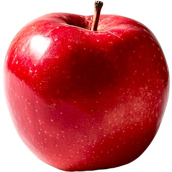 Sticker Red Apple Fruit 1