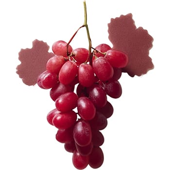 Sticker Red Grape 3