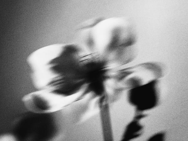 Image Image Blurry Mono Flower 7